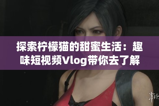 探索柠檬猫的甜蜜生活：趣味短视频Vlog带你去了解