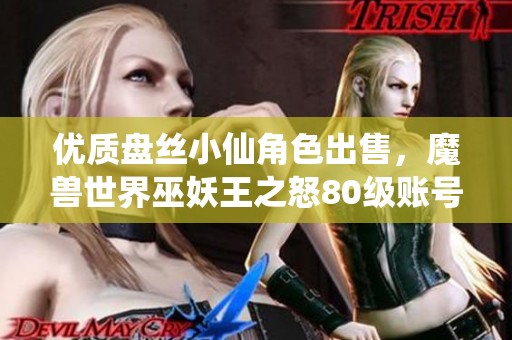 优质盘丝小仙角色出售，魔兽世界巫妖王之怒80级账号等你来抢购