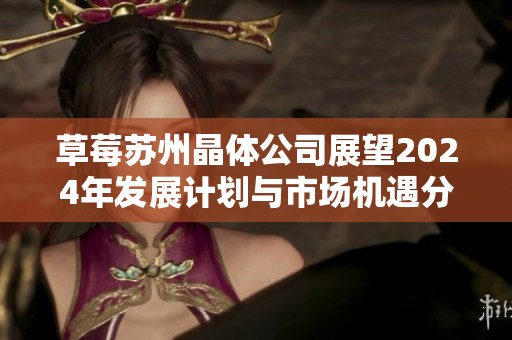 草莓苏州晶体公司展望2024年发展计划与市场机遇分析