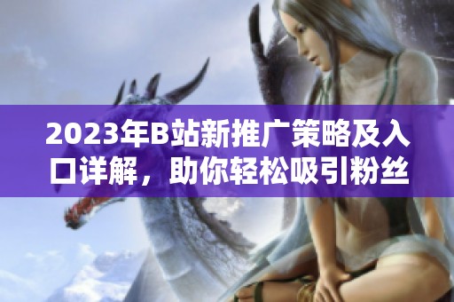 2023年B站新推广策略及入口详解，助你轻松吸引粉丝