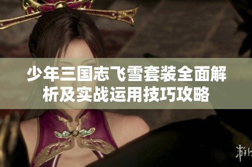 少年三国志飞雪套装全面解析及实战运用技巧攻略