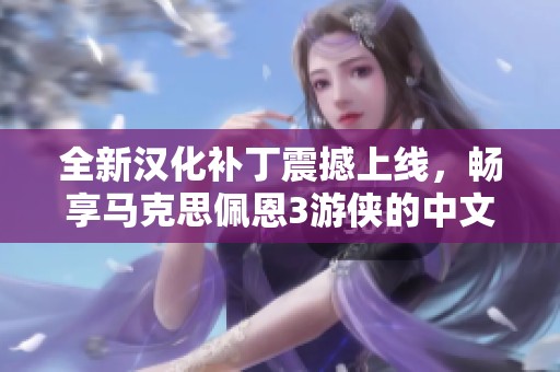 全新汉化补丁震撼上线，畅享马克思佩恩3游侠的中文游戏体验
