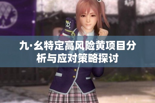 九·幺特定高风险黄项目分析与应对策略探讨
