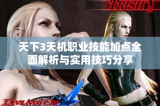 天下3天机职业技能加点全面解析与实用技巧分享
