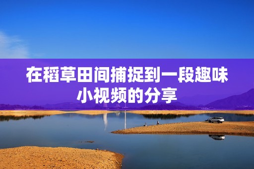 在稻草田间捕捉到一段趣味小视频的分享