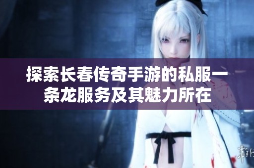 探索长春传奇手游的私服一条龙服务及其魅力所在