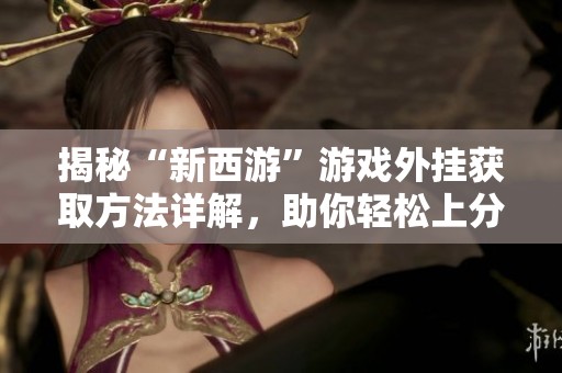 揭秘“新西游”游戏外挂获取方法详解，助你轻松上分