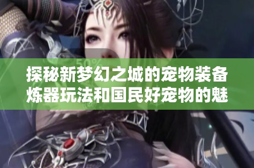 探秘新梦幻之城的宠物装备炼器玩法和国民好宠物的魅力所在