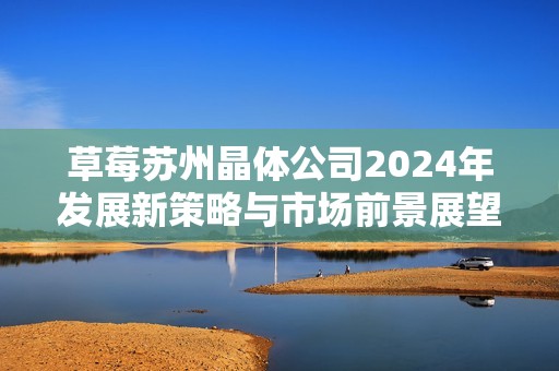 草莓苏州晶体公司2024年发展新策略与市场前景展望