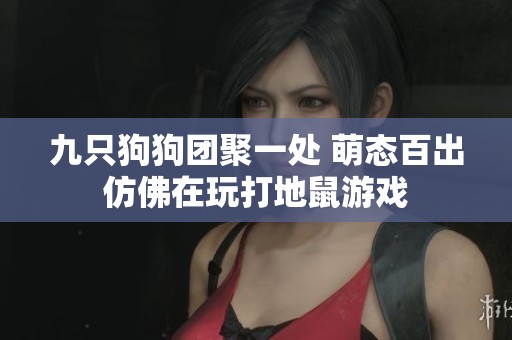 九只狗狗团聚一处 萌态百出仿佛在玩打地鼠游戏