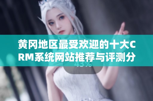黄冈地区最受欢迎的十大CRM系统网站推荐与评测分析