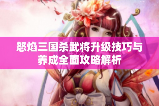 怒焰三国杀武将升级技巧与养成全面攻略解析