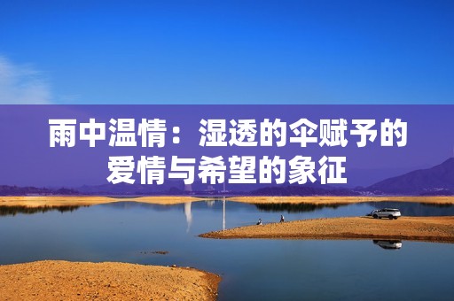 雨中温情：湿透的伞赋予的爱情与希望的象征