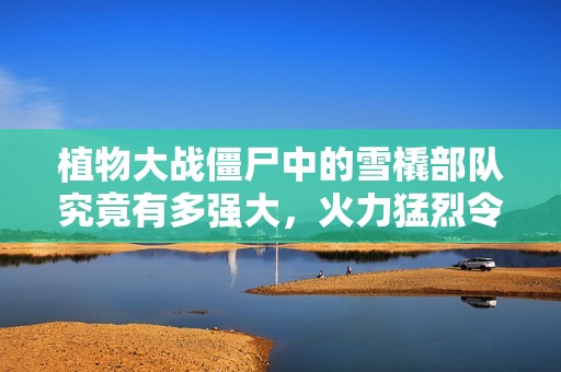 植物大战僵尸中的雪橇部队究竟有多强大，火力猛烈令人惊叹！