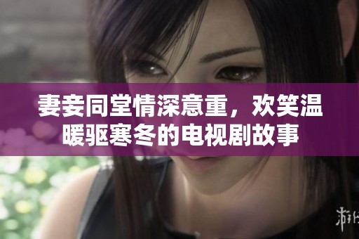 妻妾同堂情深意重，欢笑温暖驱寒冬的电视剧故事