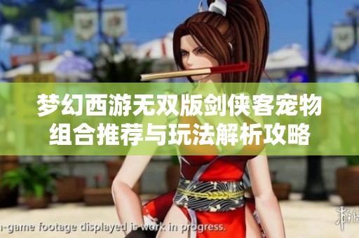 梦幻西游无双版剑侠客宠物组合推荐与玩法解析攻略