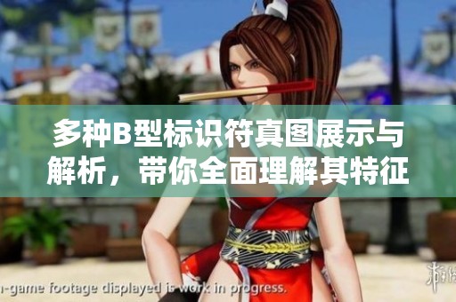 多种B型标识符真图展示与解析，带你全面理解其特征与应用
