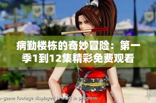 病勤楼栋的奇妙冒险：第一季1到12集精彩免费观看