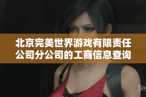 北京完美世界游戏有限责任公司分公司的工商信息查询与分析