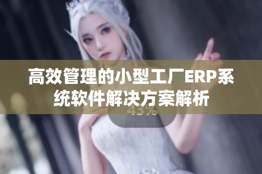 高效管理的小型工厂ERP系统软件解决方案解析