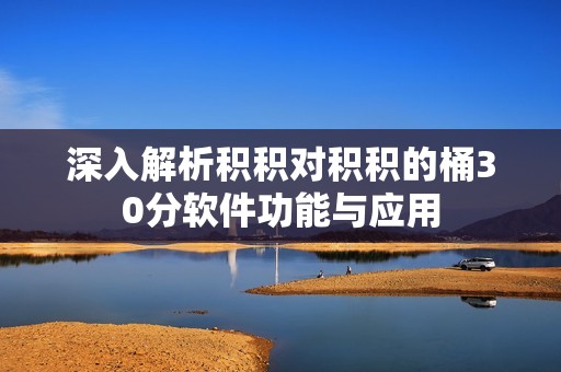 深入解析积积对积积的桶30分软件功能与应用