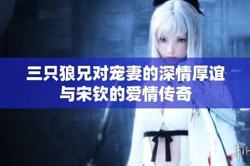 三只狼兄对宠妻的深情厚谊与宋钦的爱情传奇
