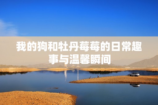 我的狗和牡丹莓莓的日常趣事与温馨瞬间