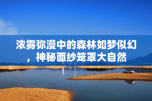 浓雾弥漫中的森林如梦似幻，神秘面纱笼罩大自然