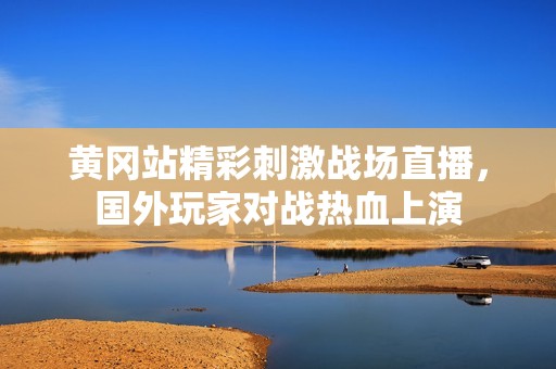 黄冈站精彩刺激战场直播，国外玩家对战热血上演
