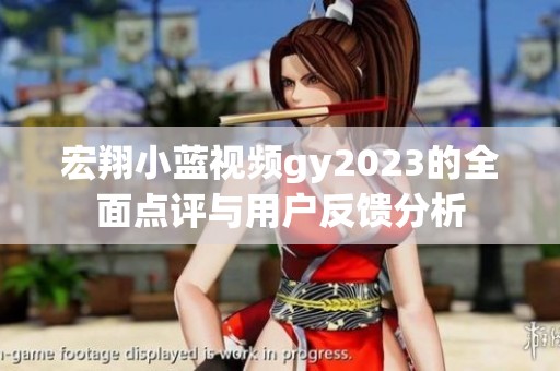 宏翔小蓝视频gy2023的全面点评与用户反馈分析