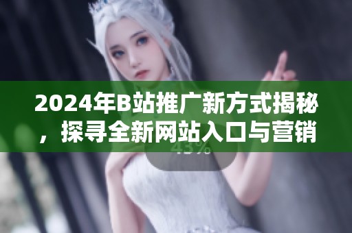 2024年B站推广新方式揭秘，探寻全新网站入口与营销策略