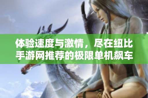 体验速度与激情，尽在纽比手游网推荐的极限单机飙车游戏中