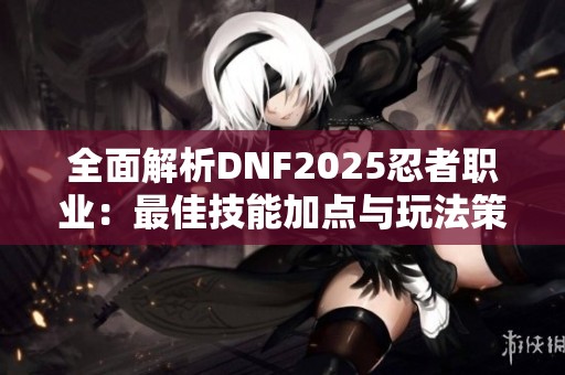 全面解析DNF2025忍者职业：最佳技能加点与玩法策略指南