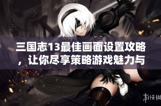 三国志13最佳画面设置攻略，让你尽享策略游戏魅力与视觉盛宴