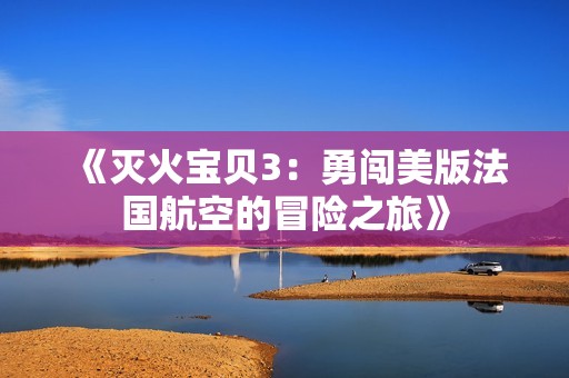 《灭火宝贝3：勇闯美版法国航空的冒险之旅》