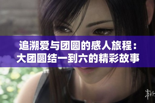 追溯爱与团圆的感人旅程：大团圆结一到六的精彩故事