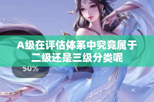 A级在评估体系中究竟属于二级还是三级分类呢