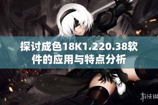 探讨成色18K1.220.38软件的应用与特点分析