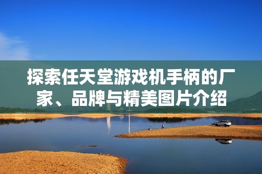 探索任天堂游戏机手柄的厂家、品牌与精美图片介绍