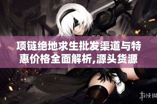 项链绝地求生批发渠道与特惠价格全面解析,源头货源推荐