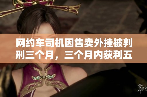网约车司机因售卖外挂被判刑三个月，三个月内获利五十九万