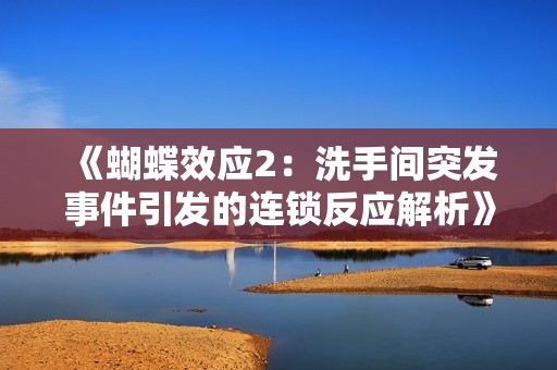 《蝴蝶效应2：洗手间突发事件引发的连锁反应解析》