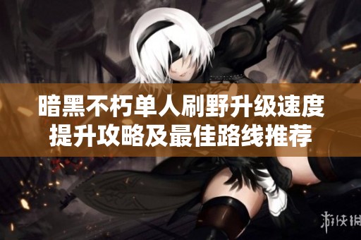 暗黑不朽单人刷野升级速度提升攻略及最佳路线推荐