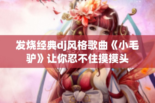发烧经典dj风格歌曲《小毛驴》让你忍不住摸摸头