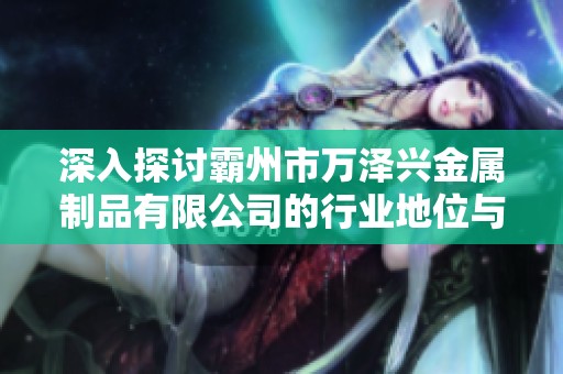 深入探讨霸州市万泽兴金属制品有限公司的行业地位与发展潜力