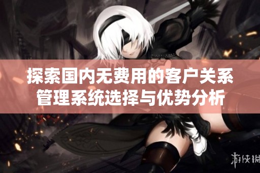 探索国内无费用的客户关系管理系统选择与优势分析
