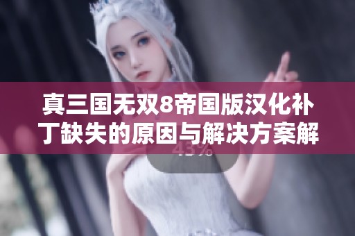 真三国无双8帝国版汉化补丁缺失的原因与解决方案解析