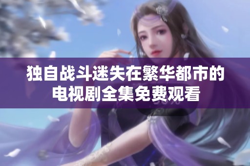 独自战斗迷失在繁华都市的电视剧全集免费观看