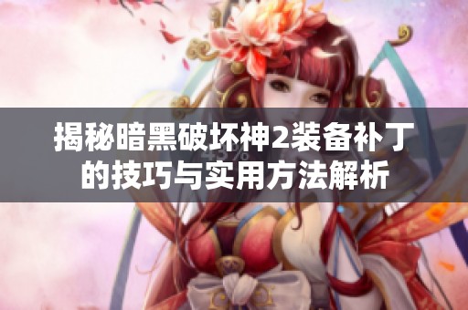 揭秘暗黑破坏神2装备补丁的技巧与实用方法解析