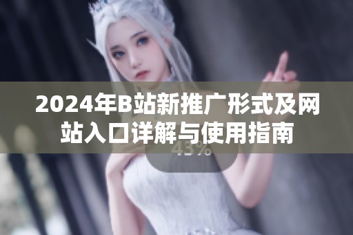 2024年B站新推广形式及网站入口详解与使用指南